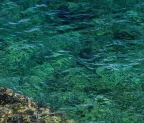 Can You Swim in Königssee’s Crystal Clear Water?