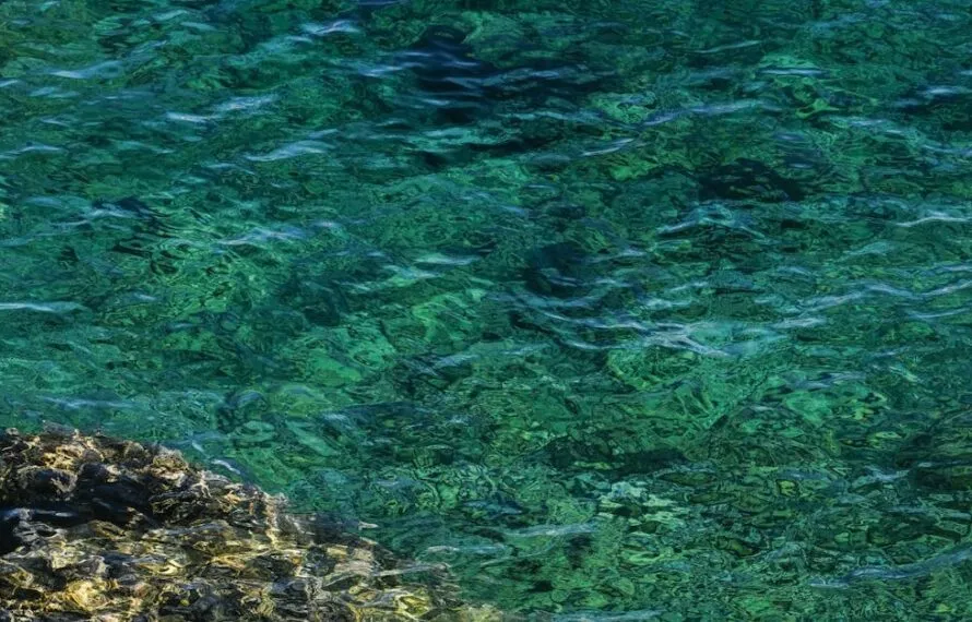 Can You Swim in Königssee’s Crystal Clear Water?