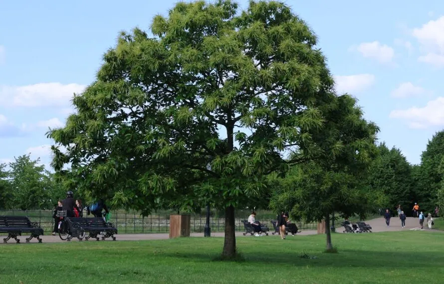 How To Get To Hyde Park London: Your Ultimate Guide