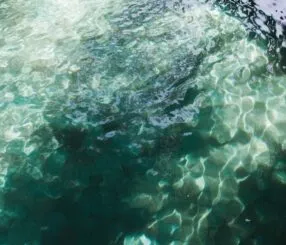 Transport Options From Reykjavik To Blue Lagoon Revealed Transport Options From Reykjavik To Blue Lagoon Revealed