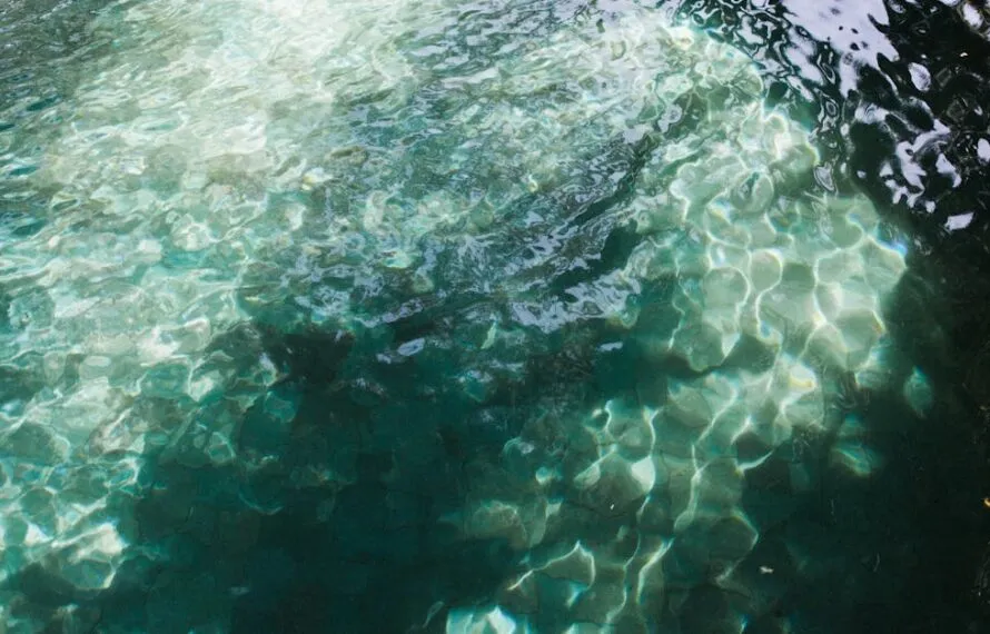 Transport Options From Reykjavik To Blue Lagoon Revealed Transport Options From Reykjavik To Blue Lagoon Revealed