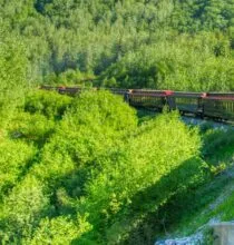 Can I reach the Douro Valley from Porto by train?