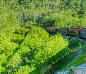 Can I reach the Douro Valley from Porto by train? Can I reach the Douro Valley from Porto by train?