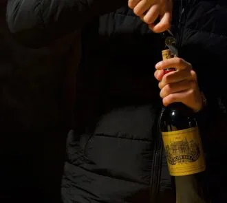 Discover Wine Tasting Tours Near Bordeaux Vineyards