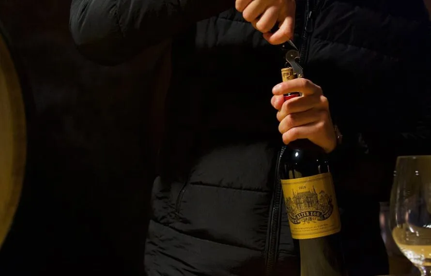 Discover Wine Tasting Tours Near Bordeaux Vineyards Discover Wine Tasting Tours Near Bordeaux Vineyards