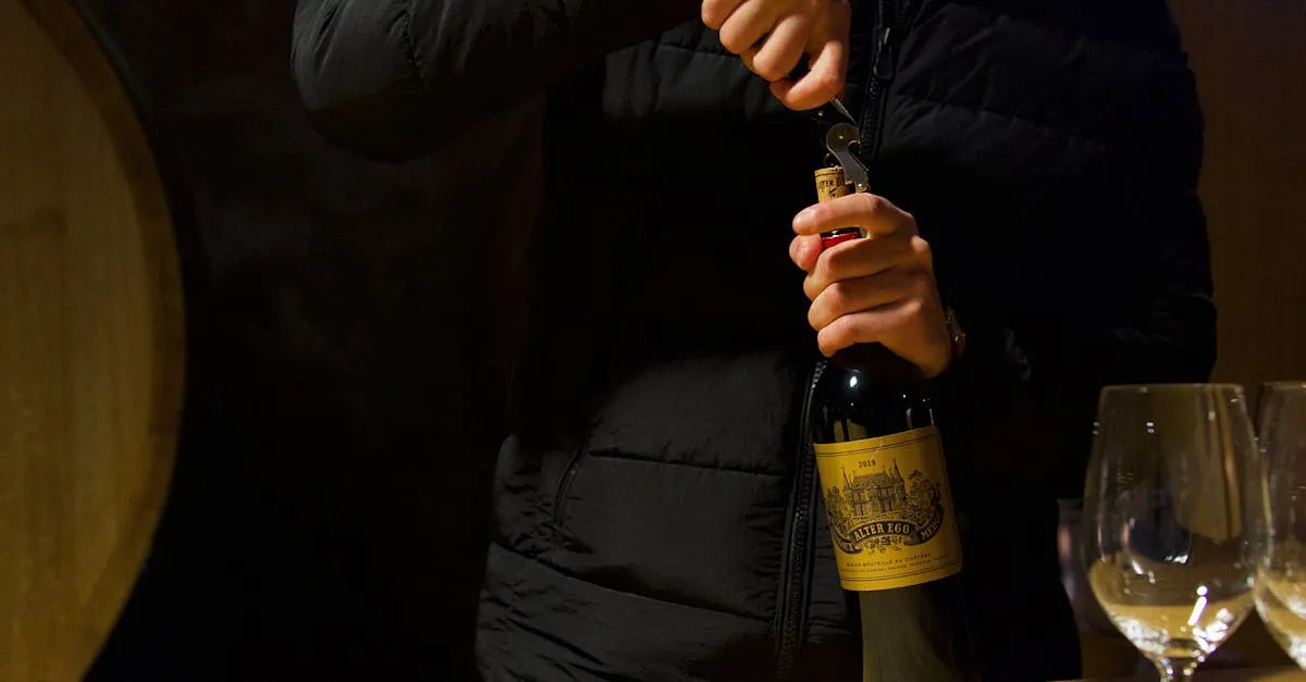 Discover Wine Tasting Tours Near Bordeaux Vineyards